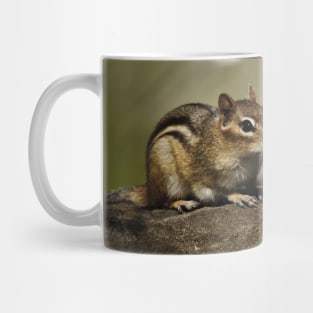 Chipmunk Mug